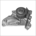 Auto water pump